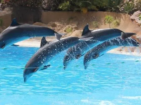 Modern Ocean View 2 Min Walk To Quarteira