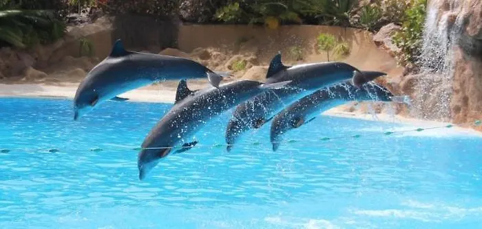 Modern Ocean View 2 Min Walk To 쿼테이라